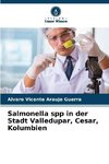 Salmonella spp in der Stadt Valledupar, Cesar, Kolumbien