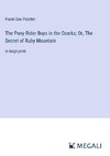 The Pony Rider Boys in the Ozarks; Or, The Secret of Ruby Mountain