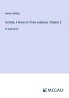 Amelia; A Novel in three volumes, Volume 3