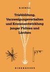 Triebbildung, Verzweigungsverhalten und Kronenentwicklung junger Fichten und Lärchen