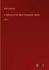 A History of the New Testament Times