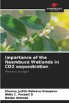 Importance of the Ñeembucú Wetlands in CO2 sequestration