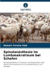 Spinalanästhesie im Lumbosakralraum bei Schafen