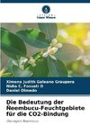 Die Bedeutung der Ñeembucu-Feuchtgebiete für die CO2-Bindung