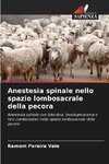 Anestesia spinale nello spazio lombosacrale della pecora