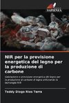 NIR per la previsione energetica del legno per la produzione di carbone