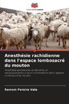 Anesthésie rachidienne dans l'espace lombosacré du mouton