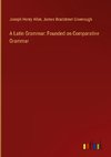 A Latin Grammar: Founded on Comparative Grammar