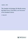 The Hawaiian Archipelago; Six Months among the Palm Groves, Coral Reefs, and Volcanoes of the Sandwich Islands