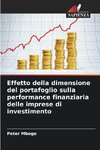 Effetto della dimensione del portafoglio sulla performance finanziaria delle imprese di investimento