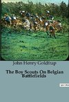 The Boy Scouts On Belgian Battlefields