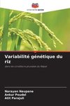 Variabilité génétique du riz