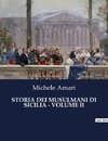 STORIA DEI MUSULMANI DI SICILIA - VOLUME II