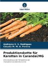 Produktionskette für Karotten in Carandaí/MG