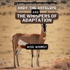 Andy The Antelope and the Whispers of Adaptation