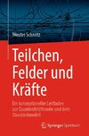 Teilchen, Felder und Kräfte