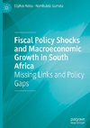 Fiscal Policy Shocks and Macroeconomic Growth in South Africa