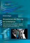 Simulationen der Atmung bei Schlafapnoe