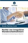 Rechte von irregulären Wanderarbeitnehmern