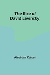 The Rise of David Levinsky