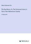 The Boy Miners; Or, The Enchanted Island, A Tale of the Yellowstone Country