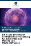 Ein neues System zur kontrollierten Freisetzung für Schmerzen und Heilung von Hautgeschwüren