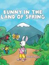 Bunny in the Land of Spring