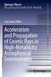 Acceleration and Propagation of Cosmic Rays in High-Metallicity Astrophysical Environments