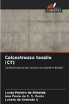 Calcestruzzo tessile (CT)