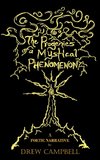 The Progenies of a Mystical Phenomenon