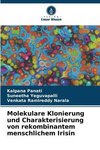 Molekulare Klonierung und Charakterisierung von rekombinantem menschlichem Irisin