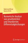 Numerische Analyse von gewöhnlichen und verzögerten Differentialgleichungen