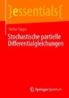 Stochastische partielle Differentialgleichungen