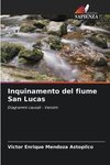 Inquinamento del fiume San Lucas