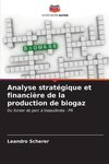 Analyse stratégique et financière de la production de biogaz