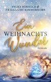 Ein Weihnachtswunder