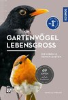 Gartenvögel lebensgroß