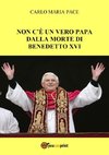 Non c'è un vero Papa dalla morte di Benedetto XVI