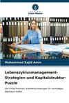 Lebenszyklusmanagement-Strategien und Kapitalstruktur-Puzzle