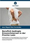 Beruflich bedingte Kreuzschmerzen in der Provinz León