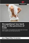 Occupational low back pain in the province of León