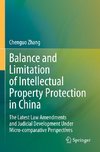 Balance and Limitation of Intellectual Property Protection in China