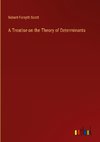 A Treatise on the Theory of Determinants