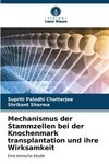 Mechanismus der Stammzellen bei der Knochenmark transplantation und ihre Wirksamkeit