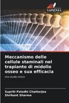 Meccanismo delle cellule staminali nel trapianto di midollo osseo e sua efficacia