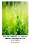 Best Non-Flammable Fire Resistant Grass Plant From Nature to Prevent Forest Wildfires