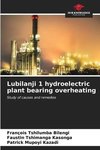 Lubilanji 1 hydroelectric plant bearing overheating