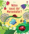 Wohin saust der Marienkäfer?