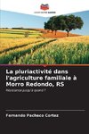 La pluriactivité dans l'agriculture familiale à Morro Redondo, RS