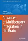 Advances of Multisensory Integration in the Brain